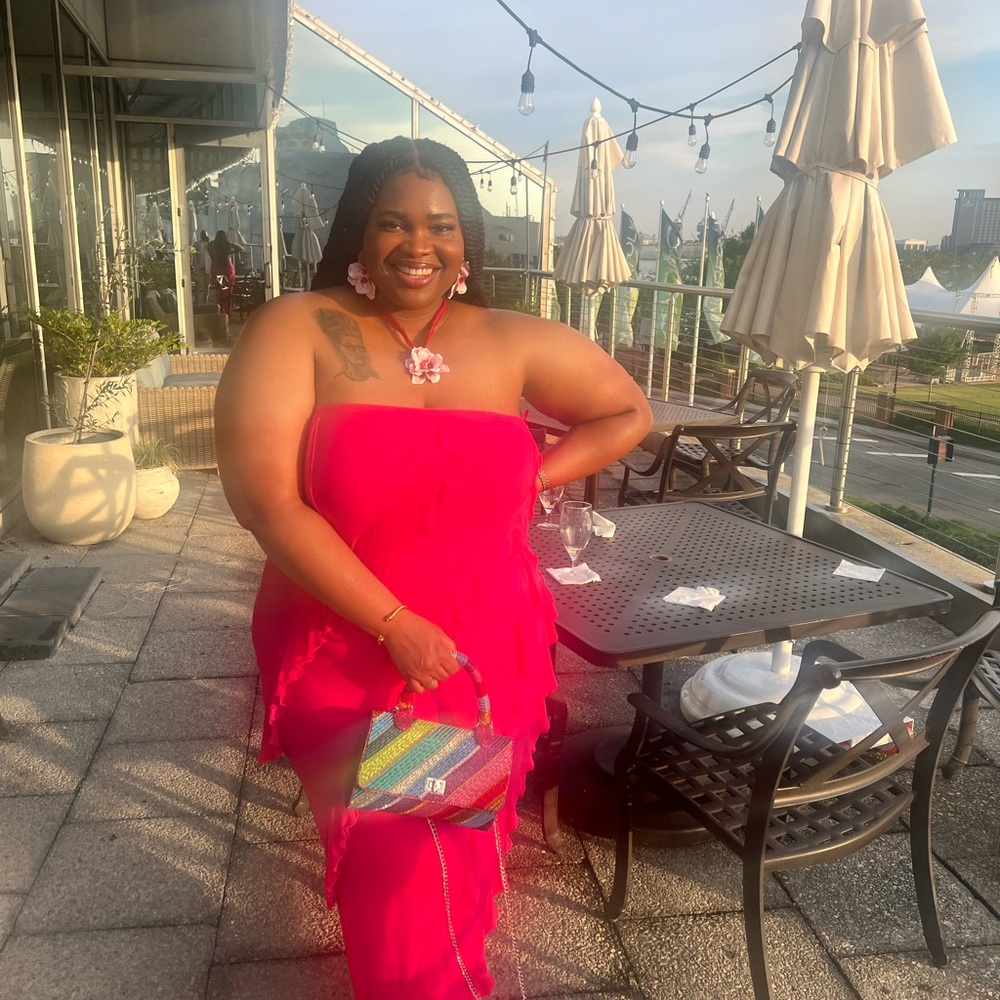 Ivana Ruffle Mesh Midi Dress - Picture 3 of 3
